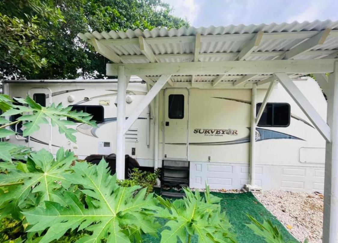 Rv In The Little Jungle By Legnalife Hotel Homestead Exterior foto